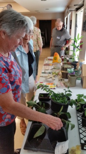 20180818BethJohn_113136